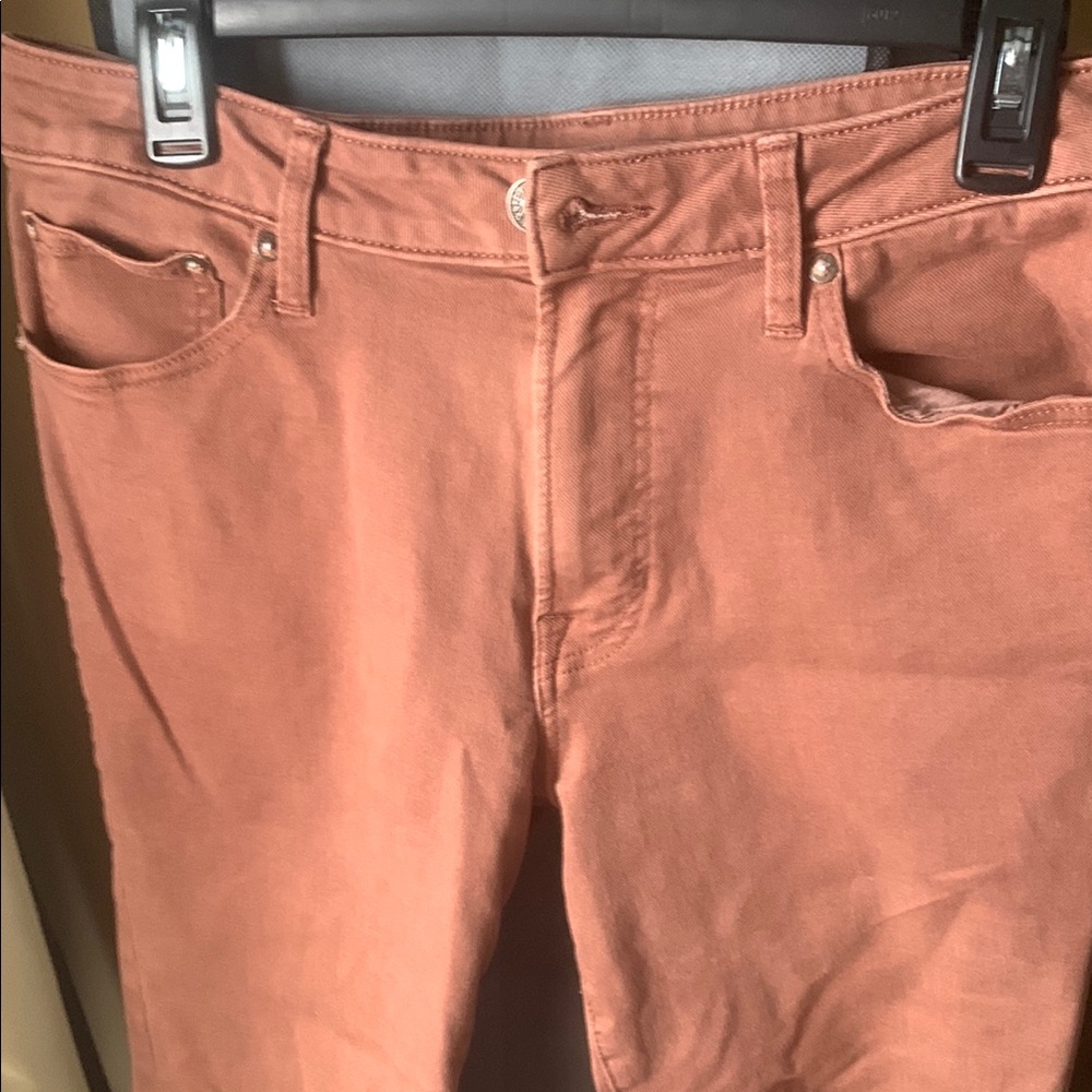 Express Slim Berry Jeans